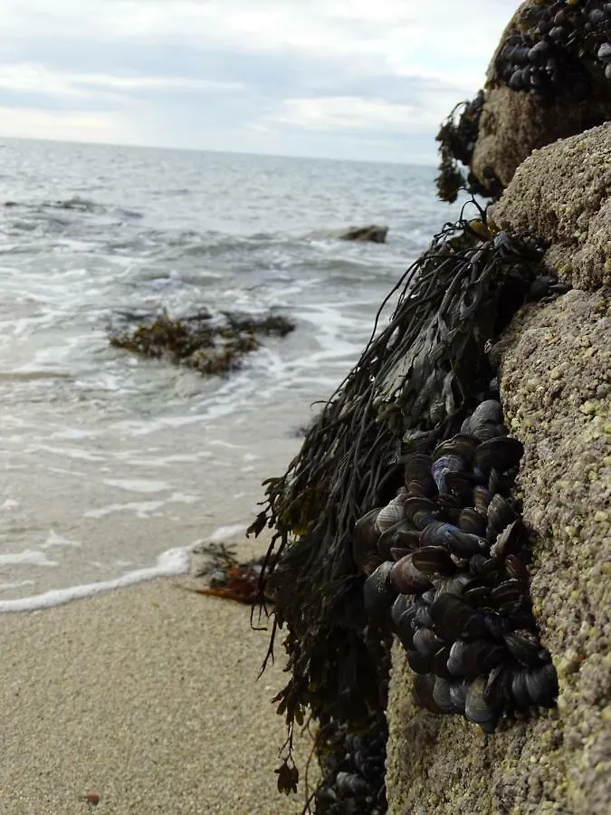 Holiday home Serenite A La Mer Concarneau France